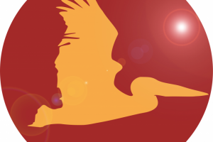 Логотип для Медиагруппы Пеликан