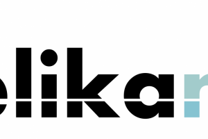 Логотип медиагруппы Пеликан