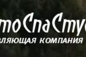 Поисковое продвижение сайта autospastudio.ru