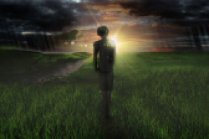 Работа 2338840