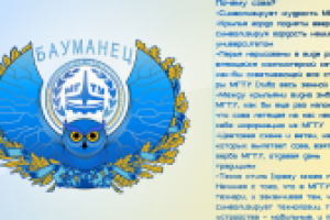 Логотип на конкурс для компьютерной сети МГТУ им. Н. Э. Баумана