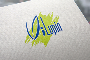 Айдентика "ВиЛюпин"