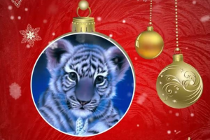 Сториз-анимация