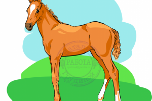 Векторный рисунок Жеребёнок