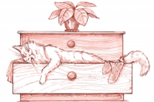 Кот и комод.