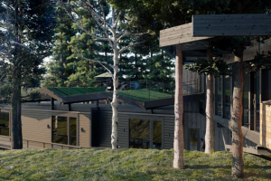 Частный дом