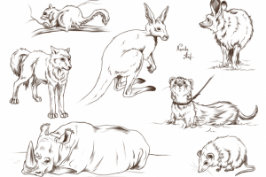 Работа 4359719