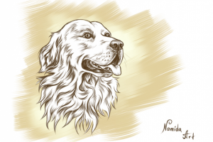 Работа 4359718