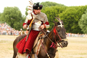 Работа 3563646