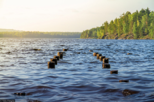 Работа 3563619