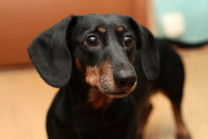 Работа 3563678