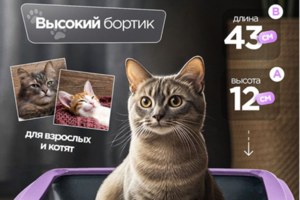 Инфографика для маркетплэйсов