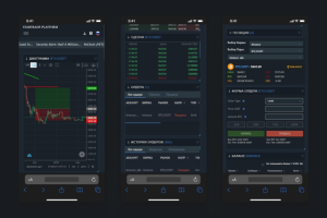 Криптовалютный терминал (React/Node JS)