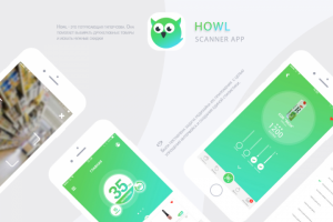 Дизайн мобильного приложения HOWL