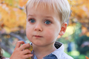 Коллеги по трусам