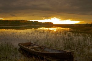 "Есенинская Русь"