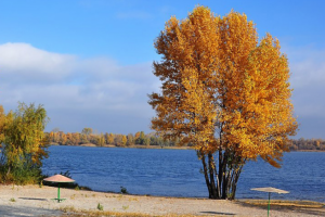 Оформление музыкальной идеи