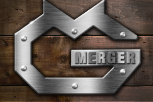 Logo MERGER