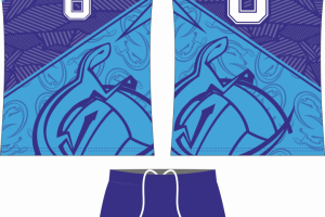 Дизайн волейбольной формы