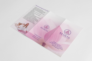 Лифлет ВЕНЕРА