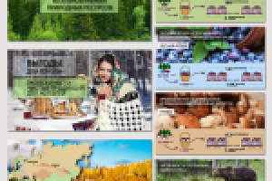 Презентация "Возобновляемые ресурсы"