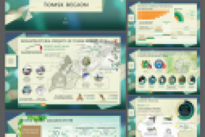 Презентация Томской области