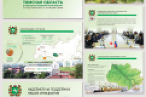 Презентация "Томская область в контексте внешней политики"