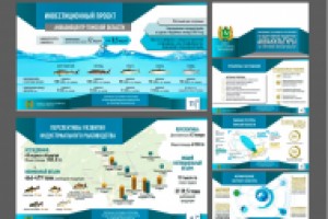 Презентация PDF