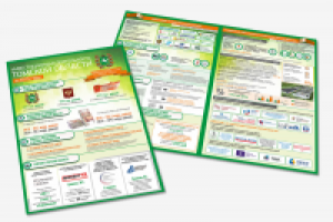 Итоговый отчет Инвест. комитета Томской области