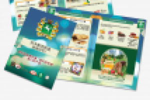 Каталог "Томская область" на китайском языке