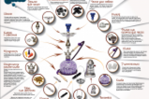 Инфографика для сайта