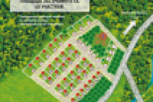 Инфографика