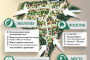 Инфографика