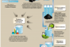 Инфографика (плакат)