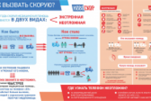 Инфографика