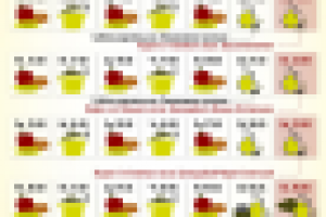 Инфографика