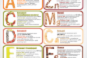 Инфографика для сайта