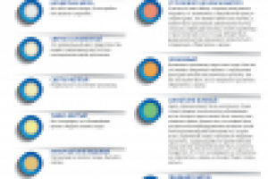 Инфографика для сайта