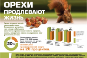 Инфографика для сайта