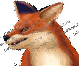 img4489218.png