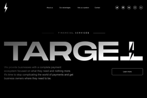 TARGET | UX/UI дизайн | Landing page