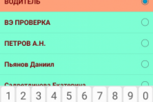 Мобильное приложение администратора БД