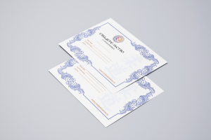 Сертификат по дзюдо