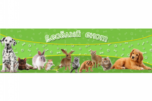 Баннер для сайта "Веселый енот"