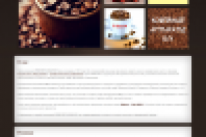 Компания «Premium Brand»