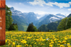 Отель «DACIA»