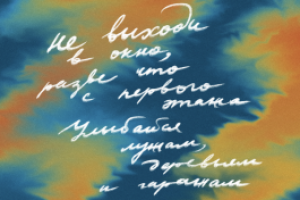 «Улыбайся лужам, деревьям и гаражам»