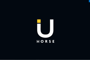 Анимация логотипа