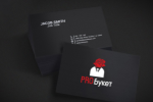 Логотип PRO букет