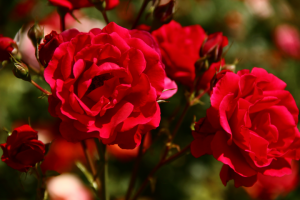 Работа 4032348